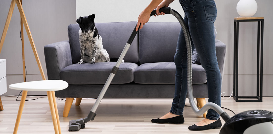 How to buy a vacuum cleaner